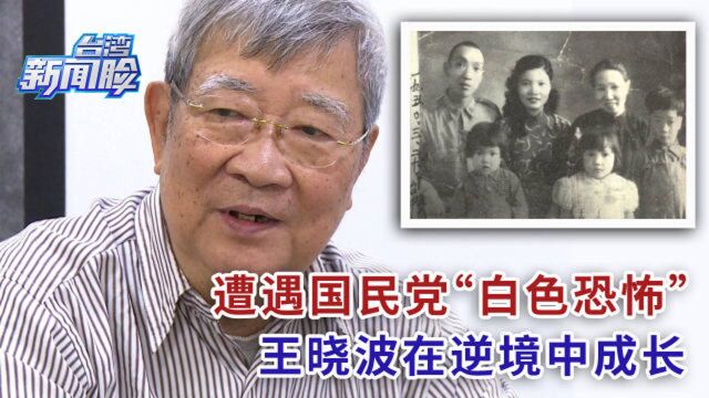 台湾“反独斗士”王晓波在逆境中成长