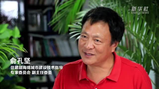 海绵城市试点5周年