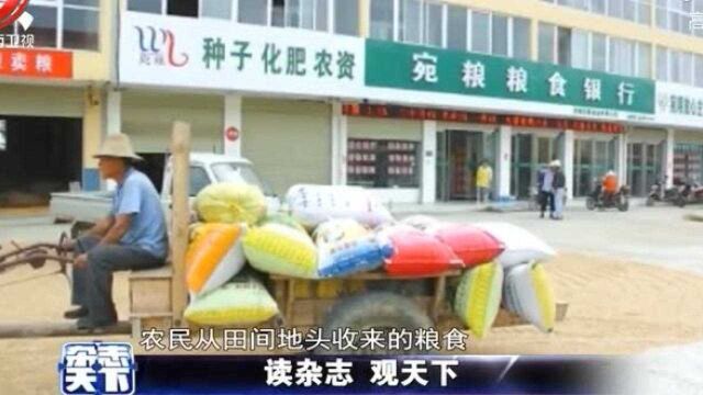 粮食“存”银行 农民心不慌