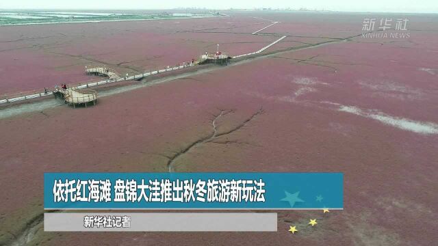 依托红海滩 盘锦大洼推出秋冬旅游新玩法