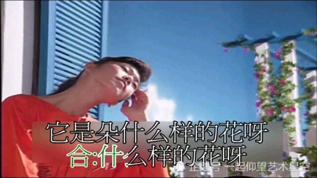 韩宝仪《紫丁香》,韩宝仪金曲典藏