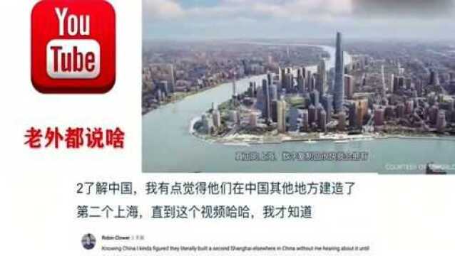 老外看中国:外网热评中国科技公司模拟出整个上海,老外:下一步就该是地球