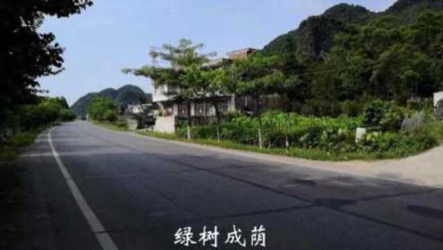 实拍:广西来宾忻城县二级公路的风景,这里风景如画,大家到过吗