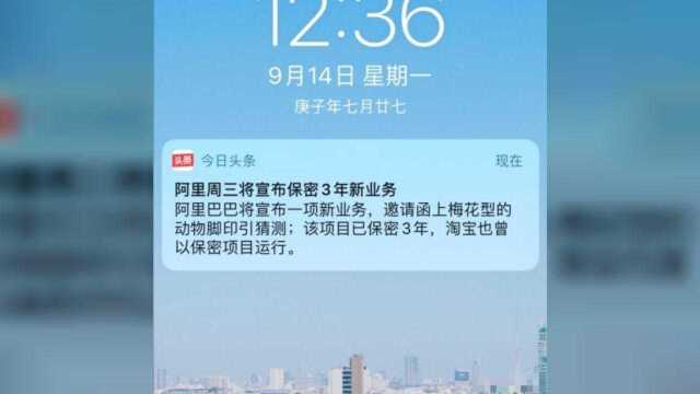 又是一个王炸!曝阿里将进军新业务,已保密筹备3年