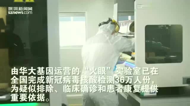 探秘深圳“火眼”实验室:3天建成,接收样本量超23.7万人份