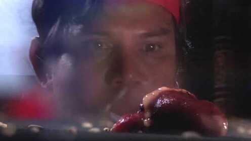 Thumbplayer Poster Plugin Image