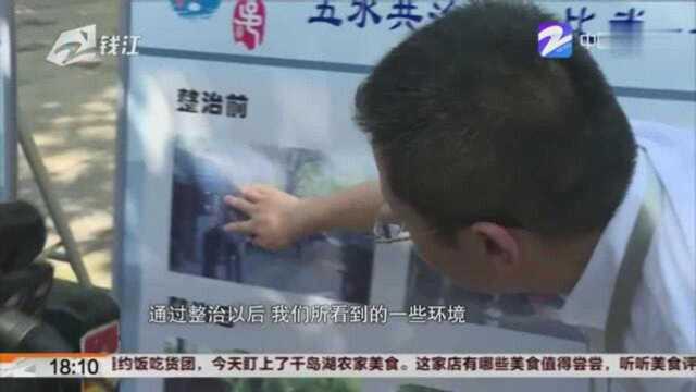 杭州吴山景区伍公山大碗茶区域整治基本完成:国庆前向游客开放