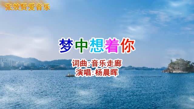 杨晨晖演唱的《梦中等着你》动感强劲,旋律优美,百听不厌