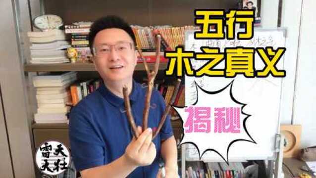 揭秘易学五行“木”真义,你所知的可能并非本质:雷天大壮易