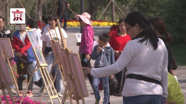 休闲帐篷、文化市集、星空影院,快来打卡城市绿心森林公园!