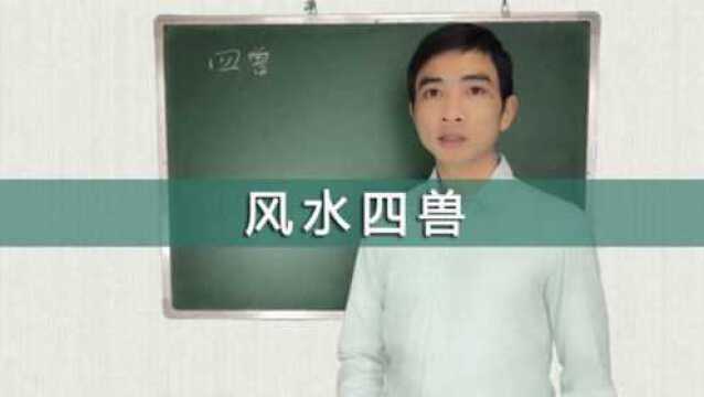 风水四兽的代表意义,风水四兽与住宅方位的关系,王家栋说易