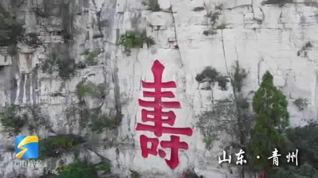 我爱山东,我为家乡代言|海岱惟青州