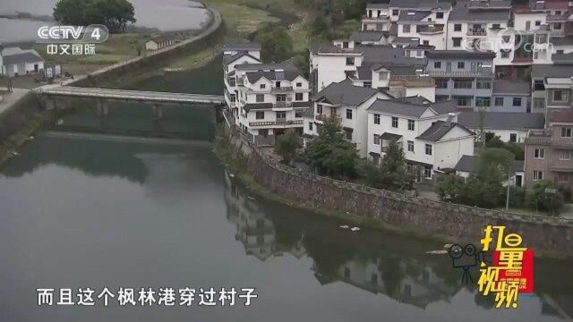 下姜村的水果基地,葡萄、草莓等是村民的收入来源之一