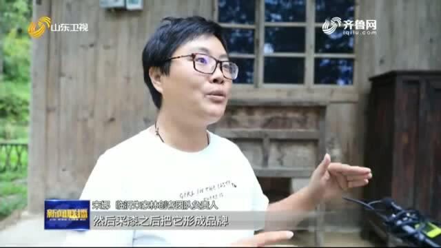 鲁渝扶贫协作丨这群山东人让重庆大巴山里的老木屋焕发新活力