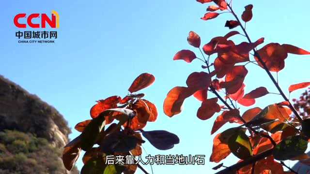 比香山更红的秋游好去处,房山坡峰岭红叶正艳