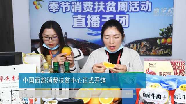 中国西部消费扶贫中心正式开馆