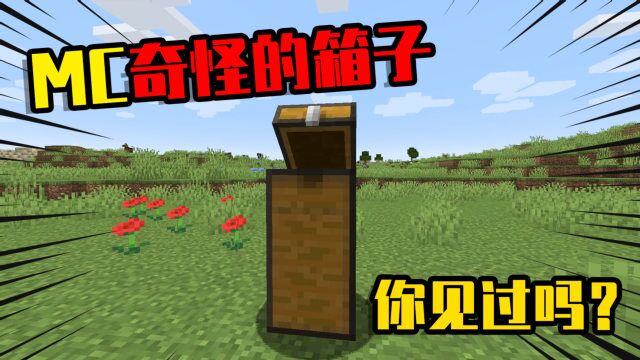 我的世界mod:箱子的隐藏组合技巧,你见过这么奇葩的箱子吗?