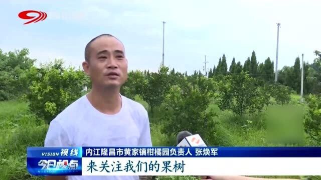 脱贫攻坚 奋进力量!代光银:传授技术经验,助理产业脱贫