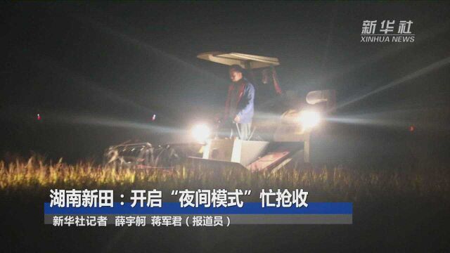 湖南新田:开启“夜间模式”忙抢收