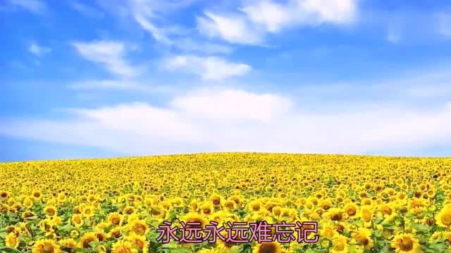 《依然把你放心里》这首歌曲,简直画面唯美,动听至极,超级喜欢