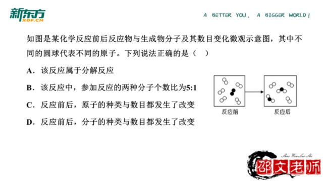 质量守恒定律微观模型(选择)