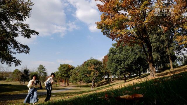 “打卡”上海辰山植物园