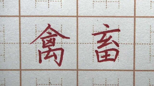 写一百次的成果就这样?禽畜梁三字书写,五年级练字楷书书法写字