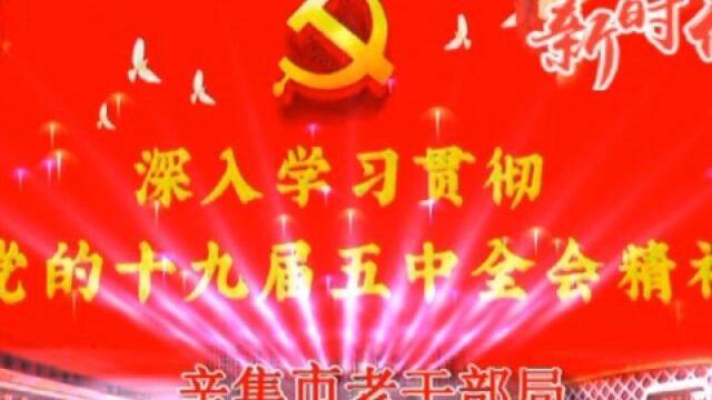 辛集市离退休干部以诗联书画赞党的十九届五中全会笔会