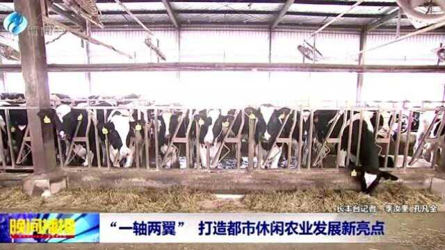 “一轴两翼” 打造都市休闲农业发展新亮点