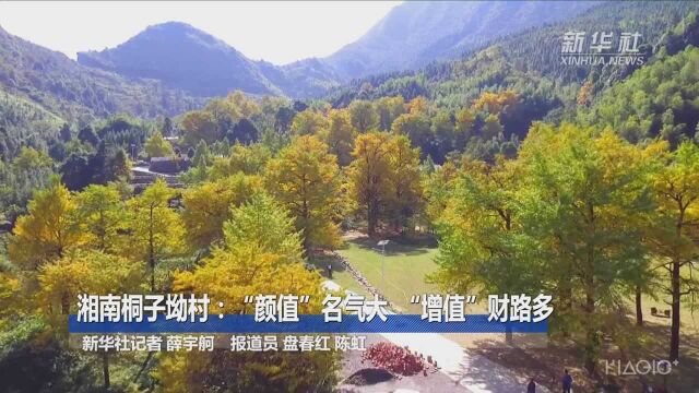 湘南桐子坳村:“颜值”名气大 “增值”财路多