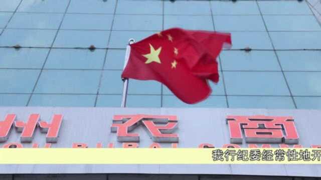 2020连州农商行纪检监察调研汇报视频