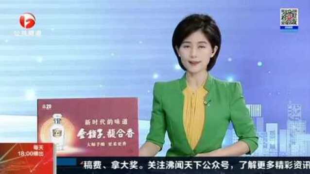 肥东:生态宜居环境美 村民日子变了样