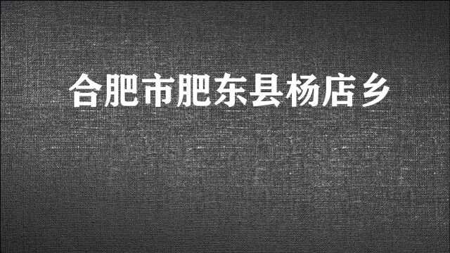 旅游发现:据说肥东县杨店乡得名是源于贩卖草鞋,出土文物也很牛