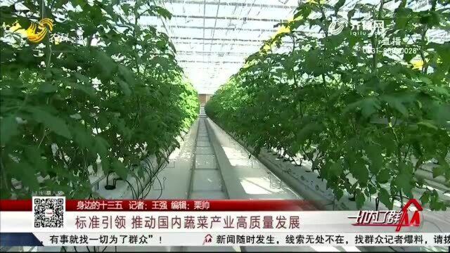 自主研发 寿光种苗年繁育能力达到17亿株