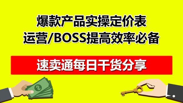 跨境电商爆款产品实操定价表,运营BOSS提高效率必备!红鱼课堂