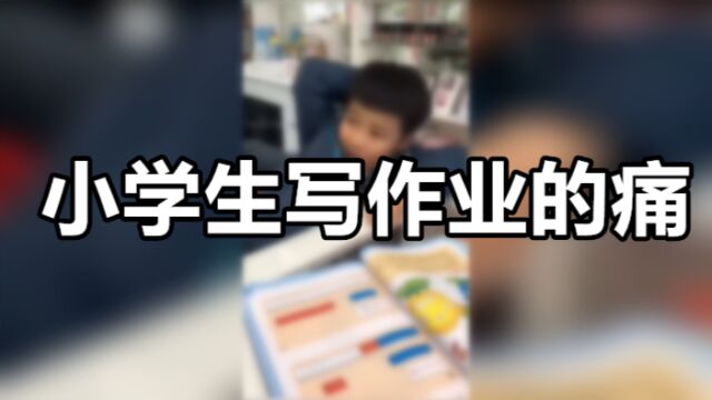 人类意外行为图鉴之小学生写作业的痛