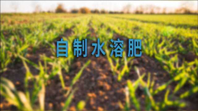 自制水溶肥 | 中科易农