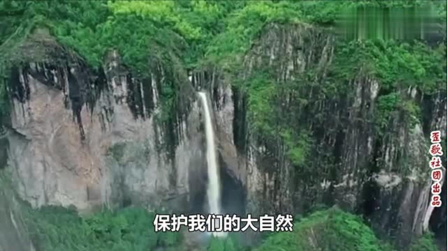 无敌环保歌《我要绿水和青山》