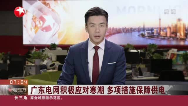 广东电网积极应对寒潮 多项措施保障供电