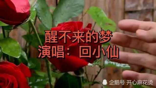 回小仙经典情歌《醒不来的梦》,好听醉了!