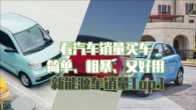 看汽车销量买车,简单、粗暴、又好用之新能源车销量Top3