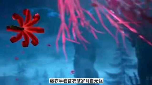 南风知我意《吹梦到西洲》唯美古风歌曲,超好听