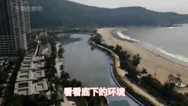 海陵岛海景公寓拎包入住月租800元,真是太划算了,一起看看