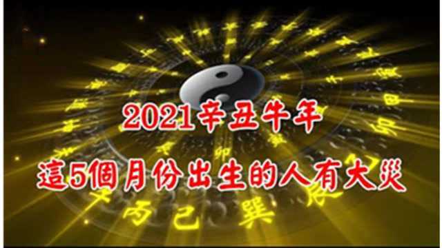 【算命】2021辛丑牛年,这5个月出生的人,恐有大灾,一定要提防!