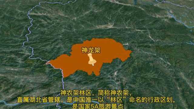 中国唯一以林区命名的行政区湖北省神农架来了解一下