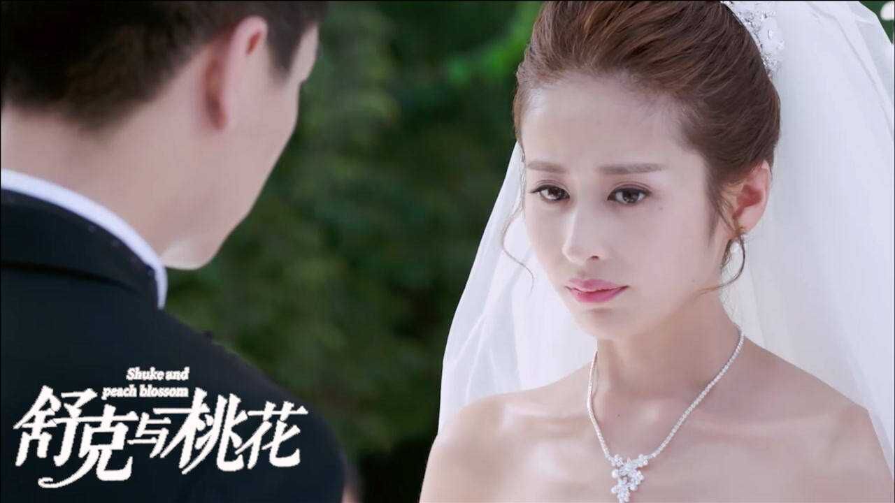 舒克与桃花:陈晓颖儿上演闪婚闪离,冤家路窄,陈晓:谁来救救我