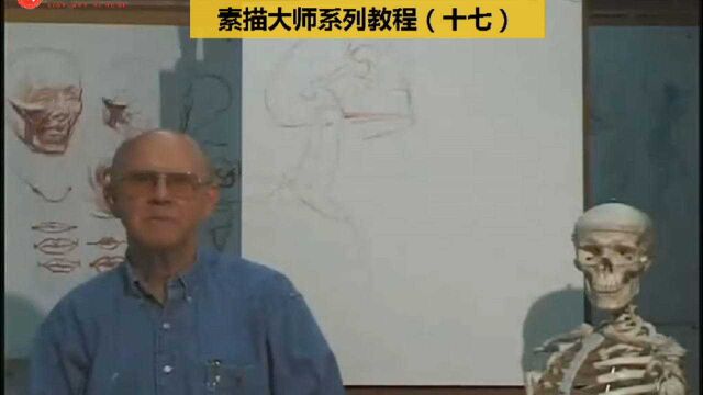 大师人体结构素描教程(17):看完你还学不会画画吗?