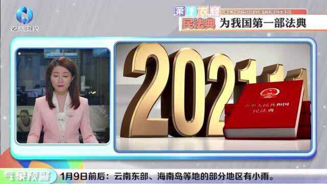 【农经资讯】民法典正式施行,你的生活将有这些大不同!