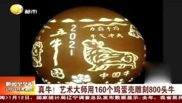 真牛!艺术大师用160个鸡蛋壳雕刻800头牛