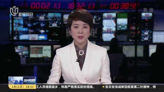 外高桥邮轮产业链驶入“快车道” 首个内装制造平台开工